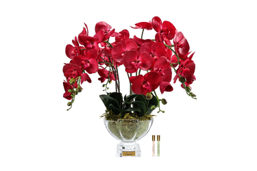 Centrepiece Orchides - Red - CPO14